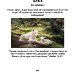 (Latin) Gospel of the Kingdom booklet-2019-International 1