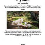 (Ucatec Maya)The Gospel of the Kingdom of God 1